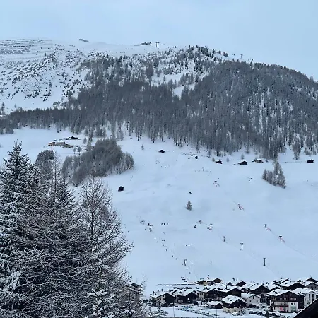 Skiingfox *